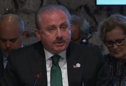 Meclis Başkanı Şentop, Kırım Platformu Birinci Parlamenter Zirvesi’nde konuştu