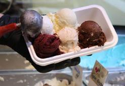 'Meyveli dondurma' yerine 'çeşnili dondurma' geldi