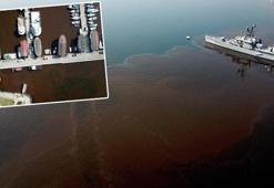 İzmit Körfezi, alg çoğalmasıyla kahverengiye döndü