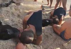 Alanya'da denizde boğulan eşeğe suni teneffüs