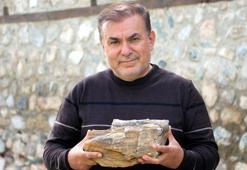 Tokat'ta tropikal iklim kuşağına ait 41,5 milyon yıllık ağaç fosilleri bulundu