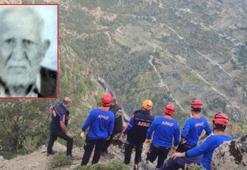 Zeytin toplarken uçurumdan düşerek hayatını kaybetti