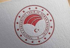 Tarım ve Orman Bakanlığı'nın, 2023 bütçesi kabul edildi