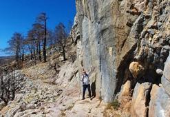 Manavgat yangınına direnen tarihi kervan yolunu, tomruk araçları tahrip etti