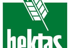 HEKTAŞ’ın, 2022’nin ilk 9 ayında ana ortaklık net kârı yüzde 234,81 arttı