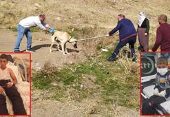 2 çocuğun köpek saldırısında yaralandığı köyde, ekipler hayvanlara kuduz aşısı yaptı