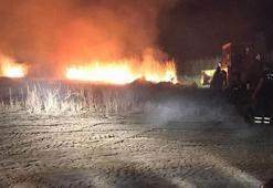 Hatay'da göçmen kuşların uğrak yerinde yangın