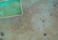 Marmara Denizi'nin dibini 1 yıl arayla gözlemledi