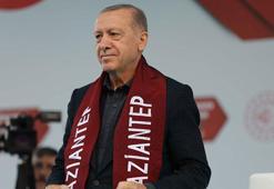 Cumhurbaşkanı Erdoğan: Birileri kıta kıta geziyor
