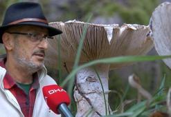 Mikolog Barutçiyan: Ölümlerin yüzde 95'i 'Köygöçüren' adı verilen mantardır