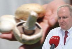 Mantar zehirlenmelerinde ilk 3 güne dikkat