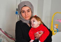 SMA hastası İrem Nur için gerekli para toplandı, komşuları ve sevenleri meşale yakıp halay çekti