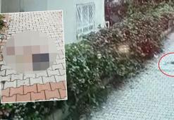 Kız bebeği poşete koyup apartmandan attıkları iddia edilen 3 şüpheli adliyede