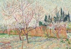 Sanat koleksiyonunun ilk bölümü rekor fiyata satıldı