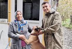 'Fino', terhis olan sahibinin üzerine atladı