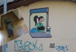 Avni düşürüldü, Sıdıka boyandı