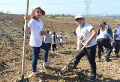 Büyük Manavgat yangınından sonra 1,5 milyon fidan dikildi