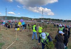 Kuzey Marmara Otoyolu, 5 bin fidanı toprakla buluşturdu
