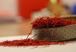 150 bin çiçekten 1 kilo üretilebilen safranın kilosu 80 bin lira