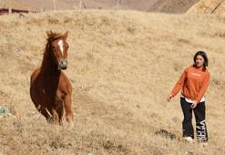 Yüksekova’da gözleri görmeyen tayı sahiplenip, İstanbul’a götürdü