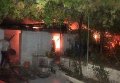 Muğla'da ahır yangını; 3 küçükbaş öldü