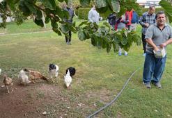Umut’un hayatını hastane bahçesinde tanıştığı hemşire değiştirdi