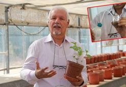 Toprak bilimci: Türkiye topraklarının yüzde 75'i rüzgar ve su erozyonuna açık