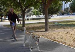 Köpek gezdiriyorlar, öğrencilere yemek pişiriyorlar, tadilat yapıyorlar...uygulama ek gelir oldu