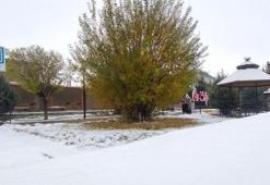 Van'da kar yağışı