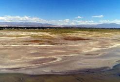 Van Gölü Havzası'ndaki kuraklık, göçmen kuşların yaşam alanlarını da daraltıyor