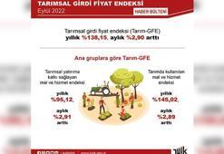 TÜİK: Tarımsal girdi fiyat endeksi eylülde arttı