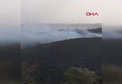 Sultangazi'de ağaçlık alandaki yangın söndürüldü