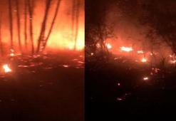 Kandıra’da ormanlık alanda çıkan yangın söndürüldü