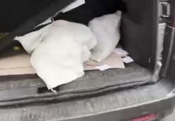 Araçlarının bagajındaki çuvalda kedi çıkan 2 kişiye 8 bin 92 lira ceza kesildi