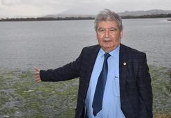 Prof. Dr. Yaşar: İzmir'de tüm zamanların en uzun süreli deniz marulu görülüyor