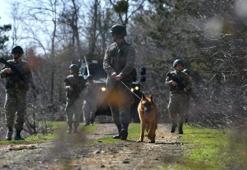 MSB: Yunanistan'a geçmeye çalışan 4'ü FETÖ mensubu 6 kişi yakalandı