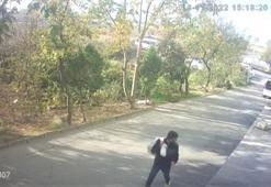 Sultangazi'de park halindeki aracın içindeki erzakları çalan şüpheliler kamerada
