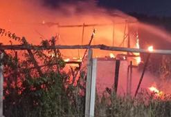 Bursa'da bağ evi yangında küle döndü