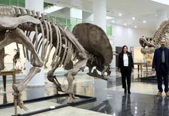 Bu müzede 250 bin bitki ve hayvan örneği bulunuyor