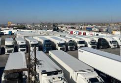 Kapıkule'de 'laboratuvar' bekleyişi, meyve- sebze sektörünü vurdu