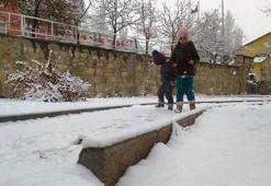 Van'da kar yağışı