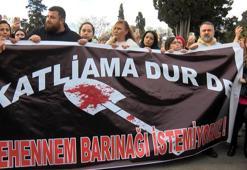 Konya Hayvan Bakımevindeki görüntüler Beşiktaş'ta protesto edildi: Barınaklarda gönüllüler çalışsın