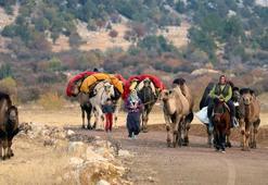 Yörüklerin 'kış yurdu' göçü