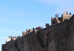 Surlarda tehlikeli özçekim