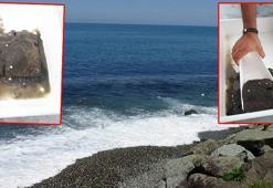 Karadeniz'de 'ağır metal kirliliği' tehlikesi