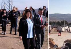 Konya'daki hayvan bakımevinde sahiplendirmeler yeniden başladı