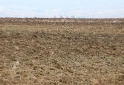 Trakya, 50 yılın en kurak dönemini geçirdi; bereket yağıyor