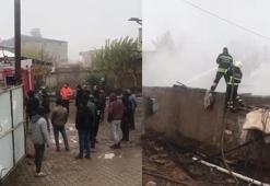 Diyarbakır'da ahır yangını; 22 hayvan öldü