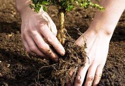 Aroma’dan TEMA Vakfı 30. Yıl Hatıra Ormanı’na 10 bin fidan desteği