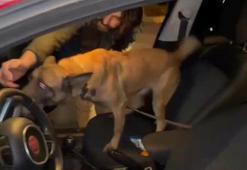 Otomobildeki 1 kilo metamfetamini 'Layka' buldu